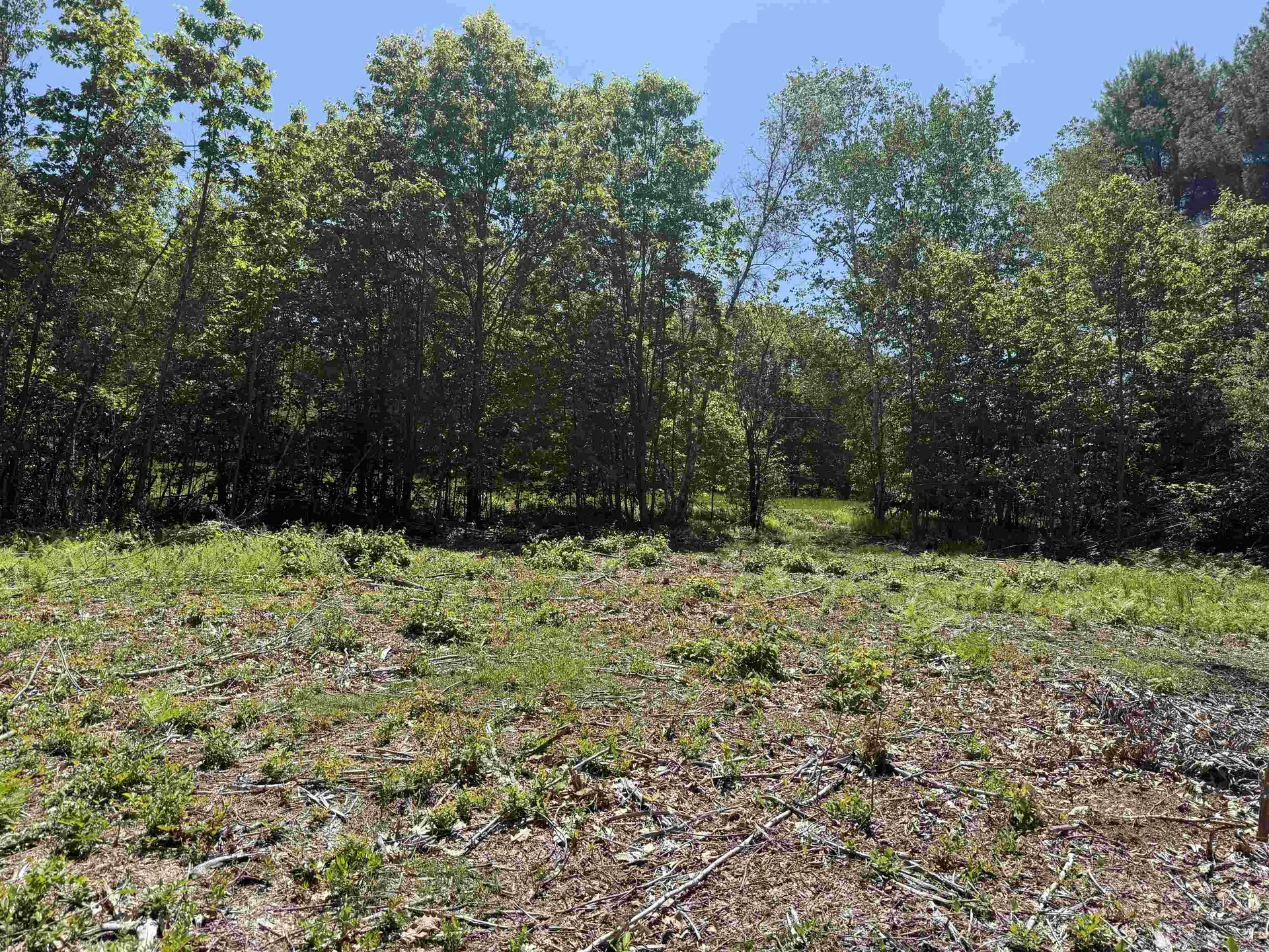 Map 5 Lot 14-3 Stockbridge Corner Road Alton NH 03809