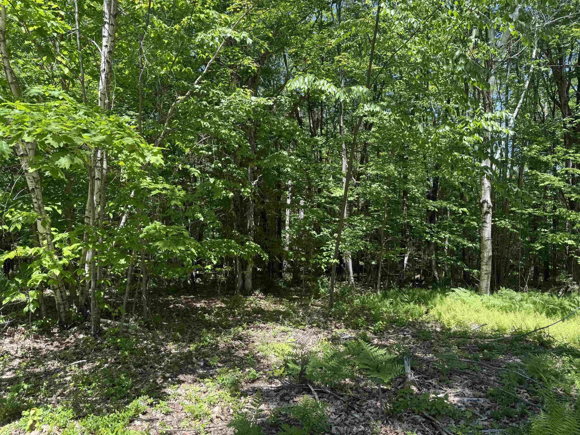 Map 5 Lot 14-3 Stockbridge Corner Road Alton NH 03809