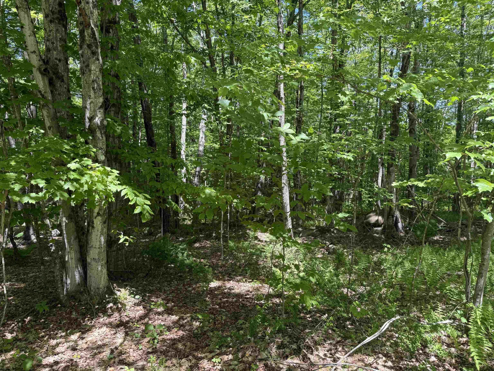 Map 5 Lot 14-3 Stockbridge Corner Road Alton NH 03809