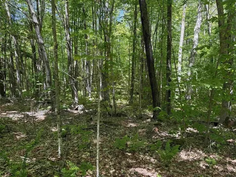 Map 5 Lot 14-3 Stockbridge Corner Road Alton NH 03809