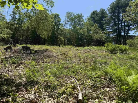 Map 5 Lot 14-3 Stockbridge Corner Road Alton NH 03809