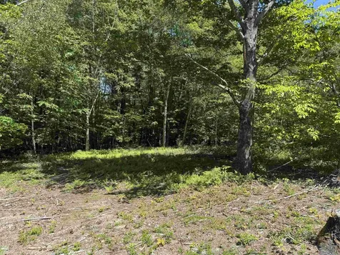 Map 5 Lot 14-3 Stockbridge Corner Road Alton NH 03809
