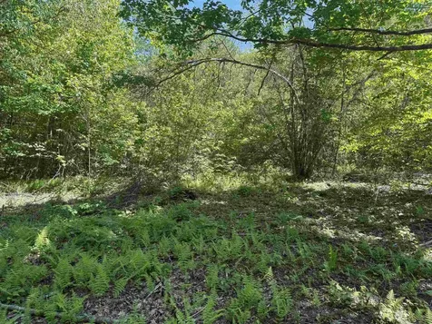 Map 5 Lot 14-3 Stockbridge Corner Road Alton NH 03809