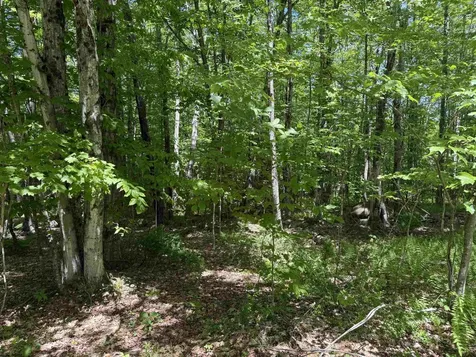 Map 5 Lot 14-3 Stockbridge Corner Road Alton NH 03809