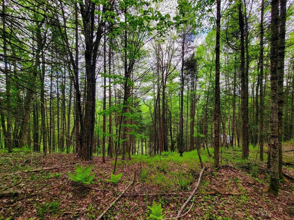 5897 Vt-102 Bloomfield VT 05905