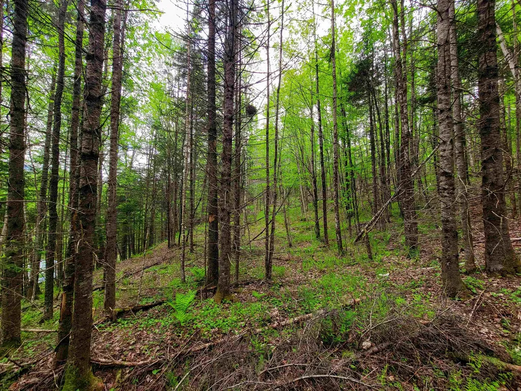 5897 Vt-102 Bloomfield VT 05905