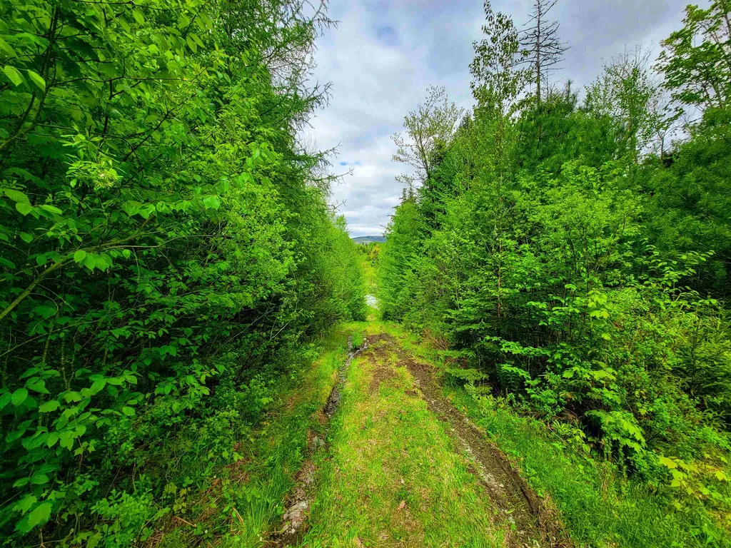 5897 Vt-102 Bloomfield VT 05905