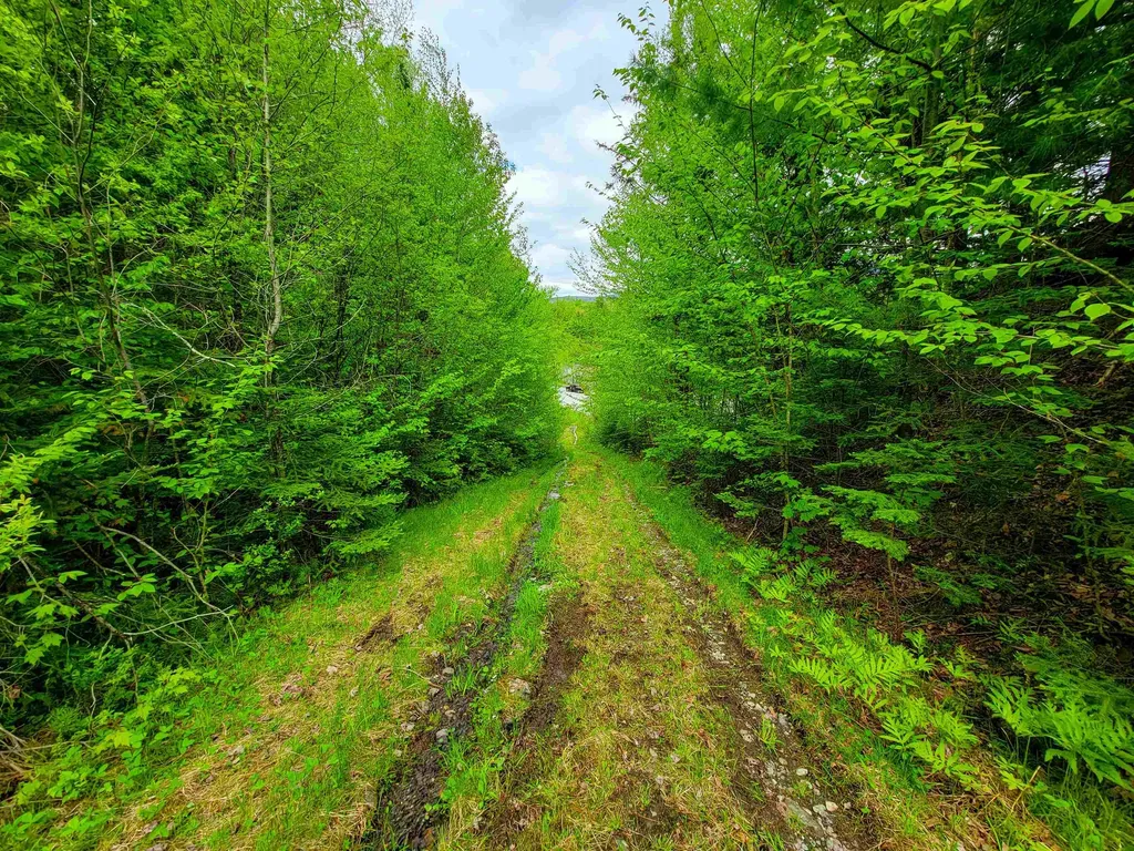 5897 Vt-102 Bloomfield VT 05905