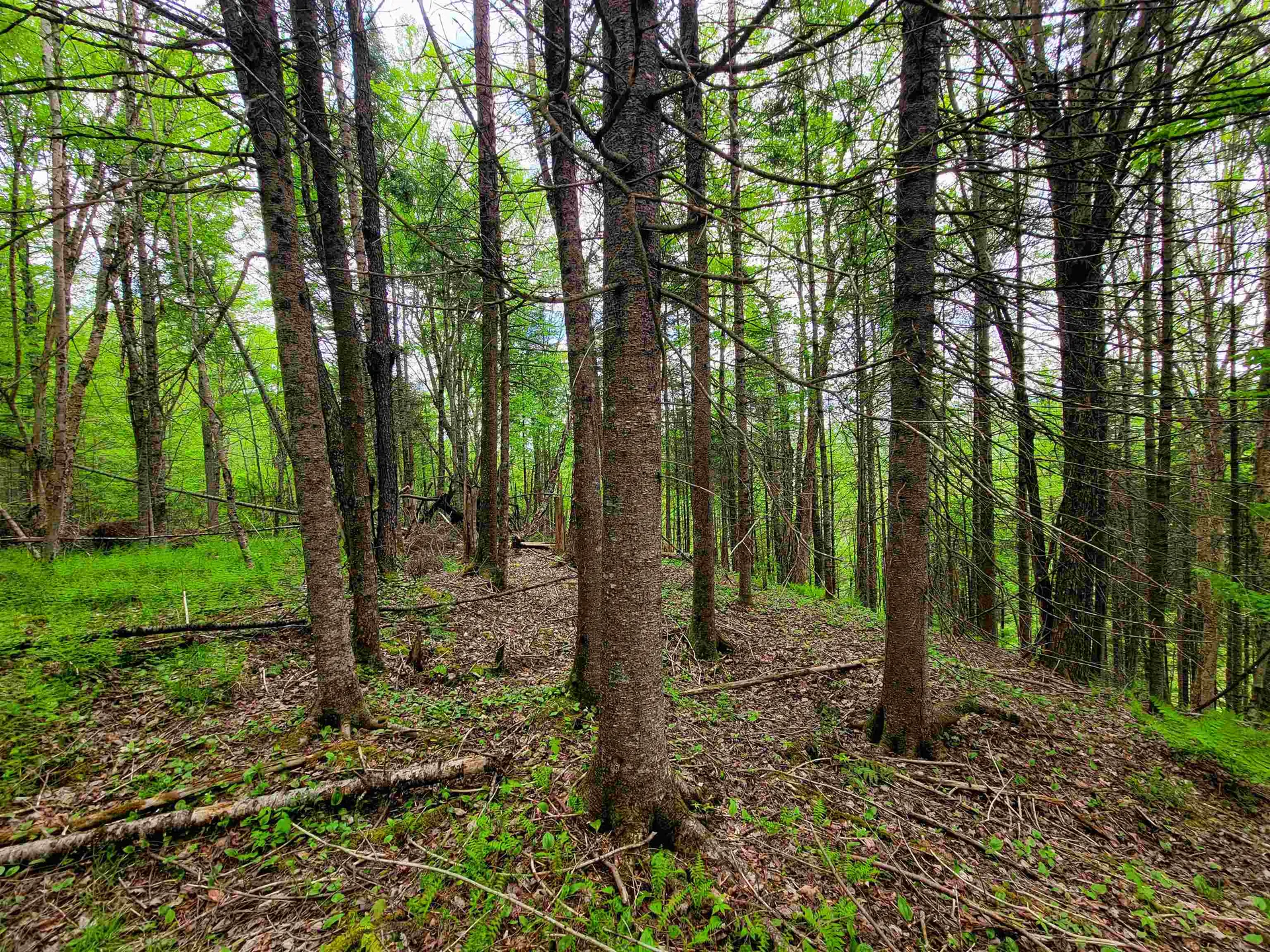 5897 Vt-102 Bloomfield VT 05905