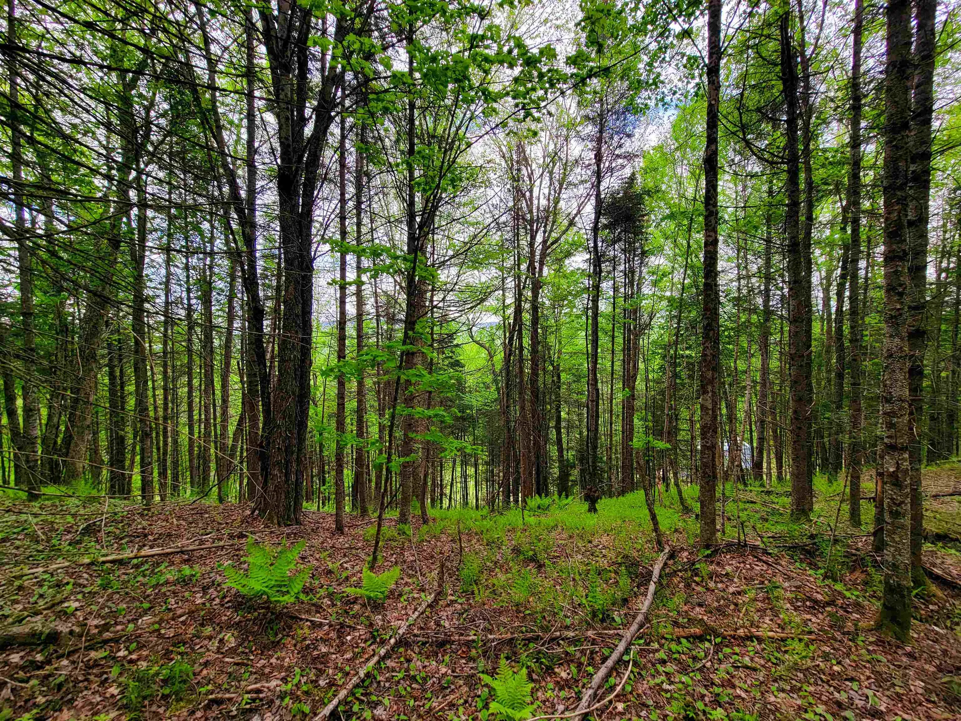 5897 Vt-102 Bloomfield VT 05905