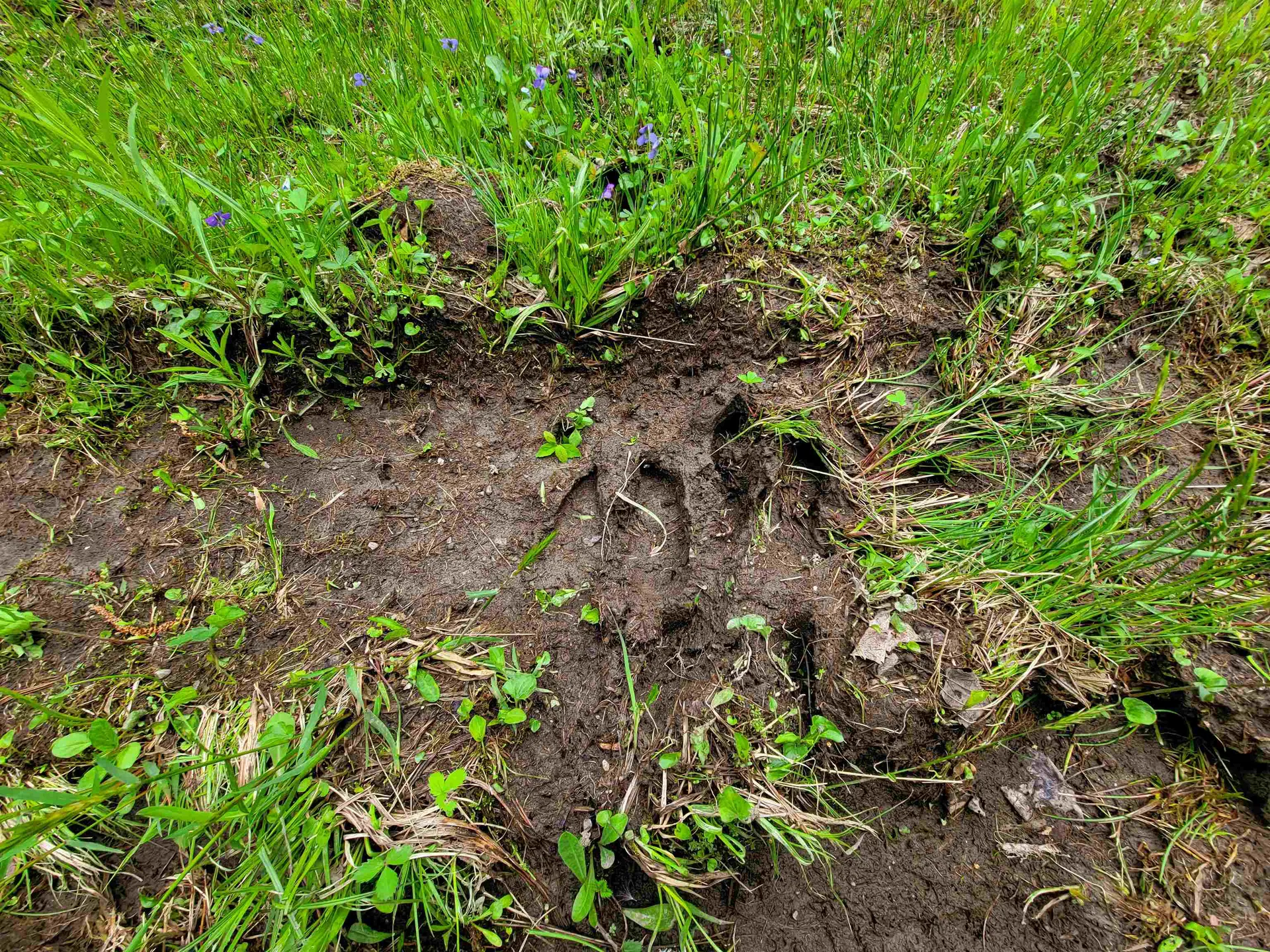 5897 Vt-102 Bloomfield VT 05905