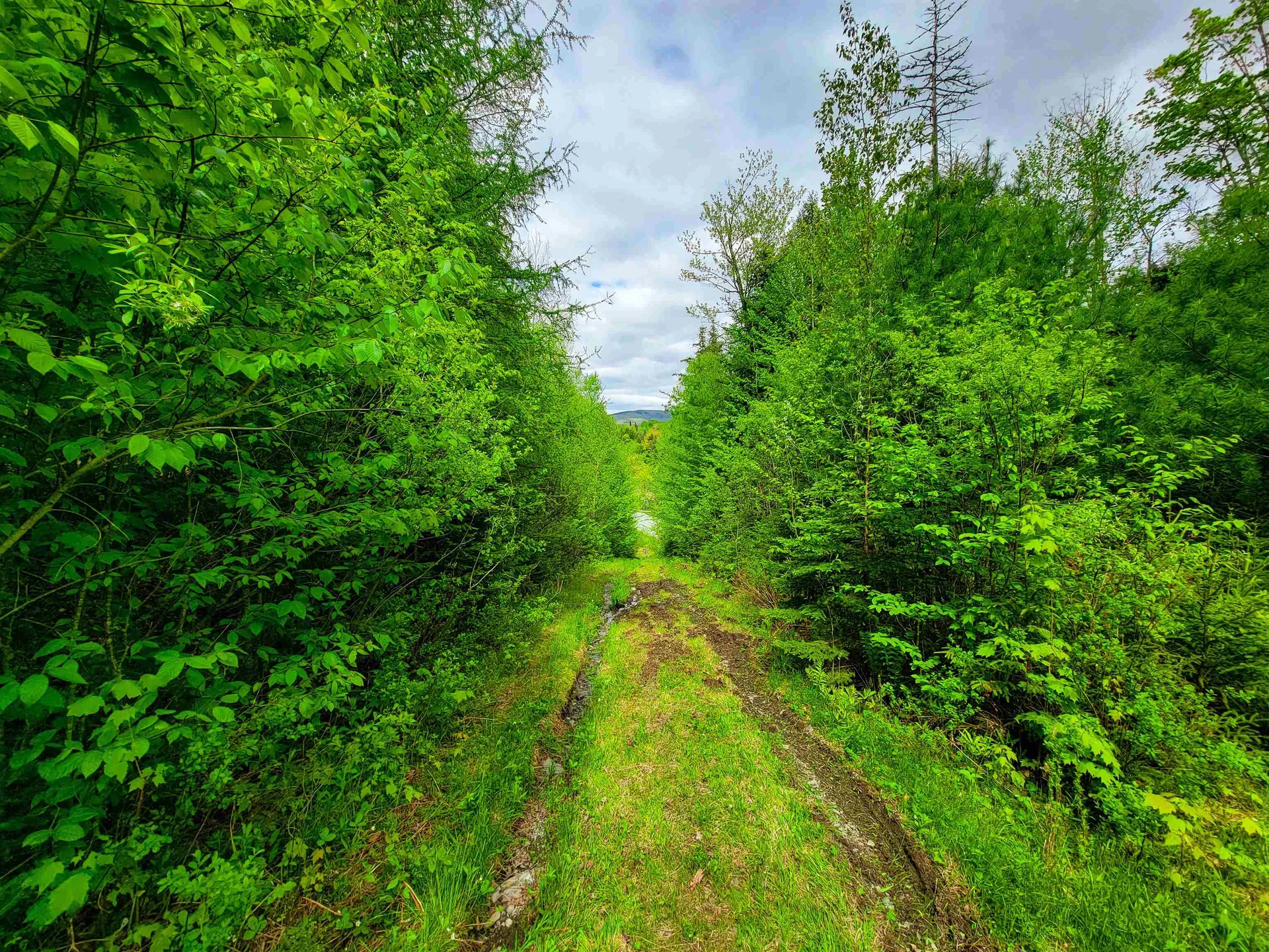 5897 Vt-102 Bloomfield VT 05905