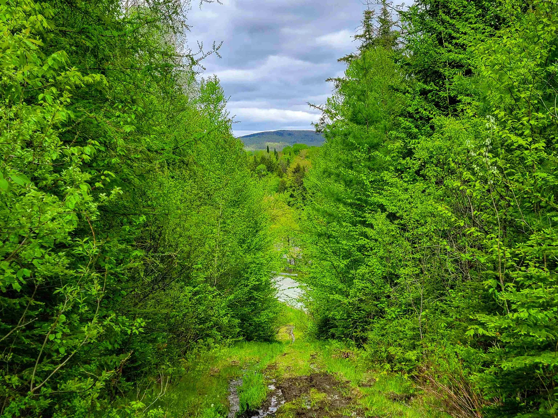 5897 Vt-102 Bloomfield VT 05905