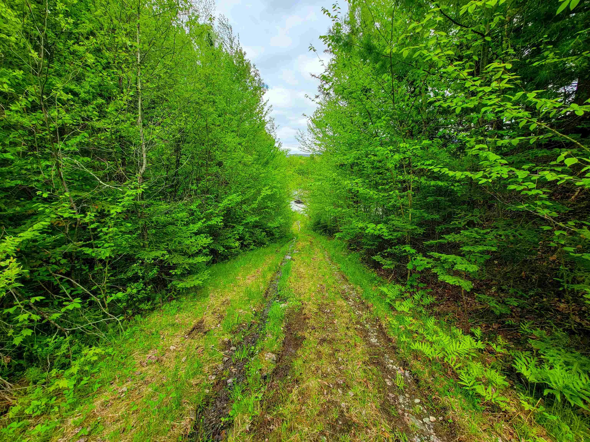 5897 Vt-102 Bloomfield VT 05905