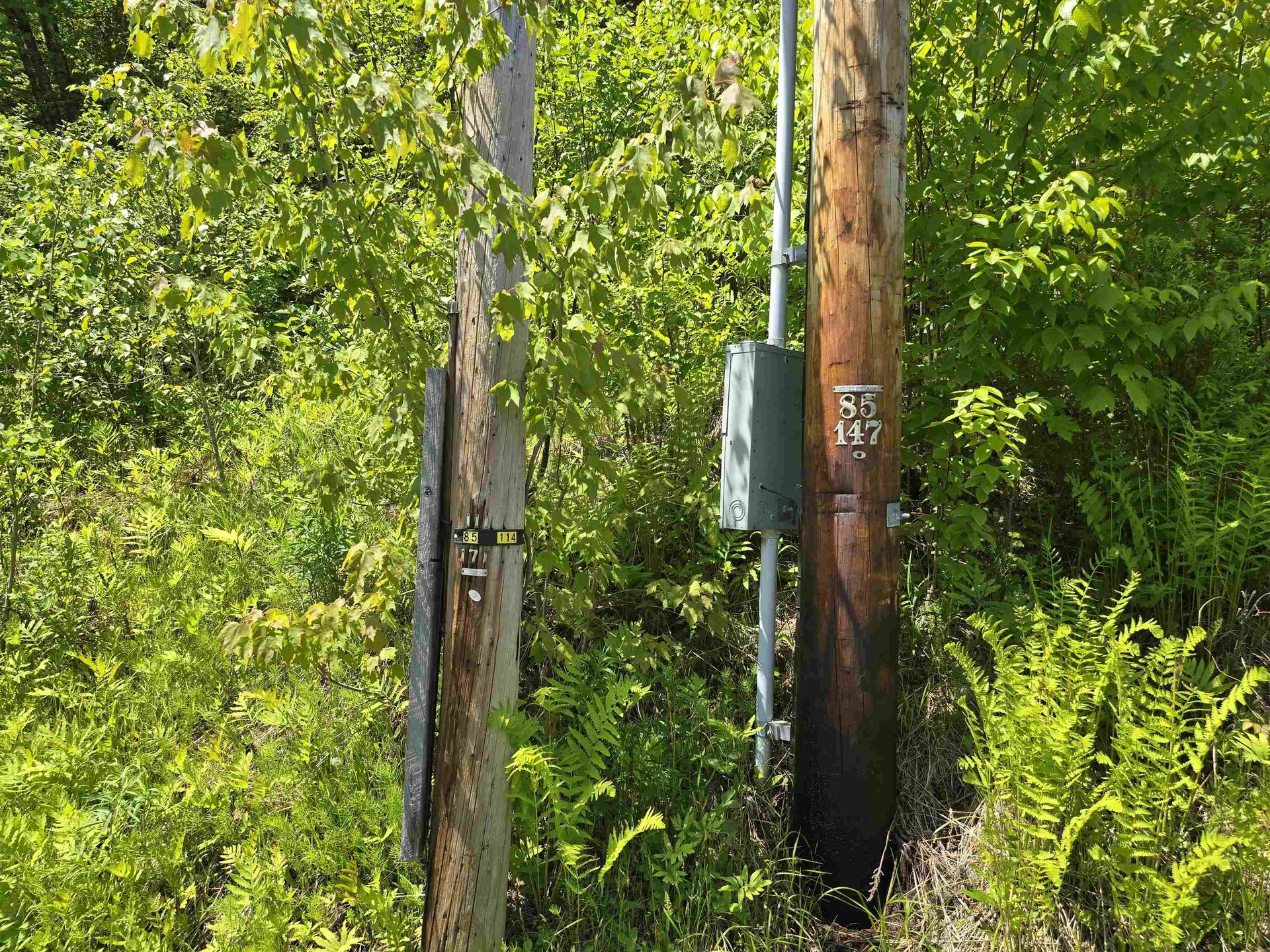 5897 Vt-102 Bloomfield VT 05905