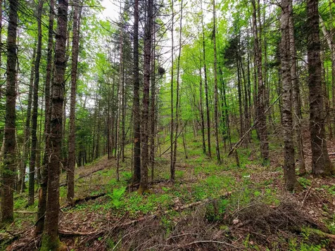 5897 Vt-102 Bloomfield VT 05905