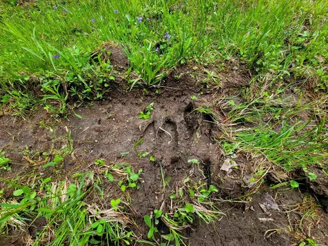 5897 Vt-102 Bloomfield VT 05905