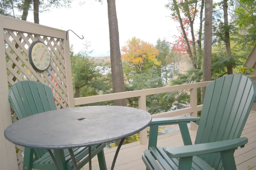 54 Black Duck Spur Grantham NH 03753