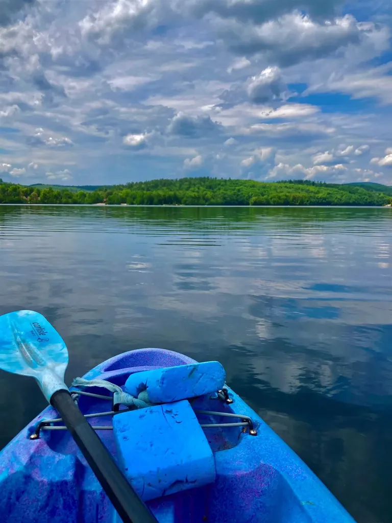 54 Black Duck Spur Grantham NH 03753