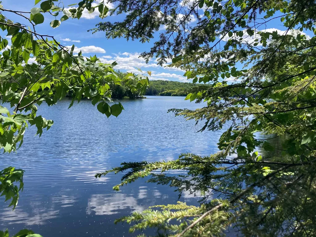 54 Black Duck Spur Grantham NH 03753