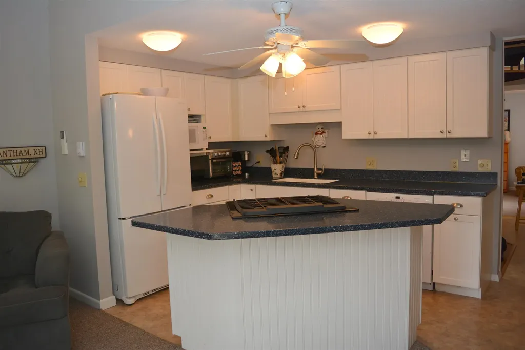 54 Black Duck Spur Grantham NH 03753