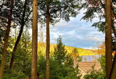 54 Black Duck Spur Grantham NH 03753