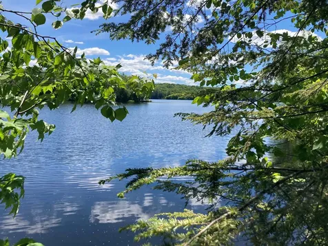 54 Black Duck Spur Grantham NH 03753