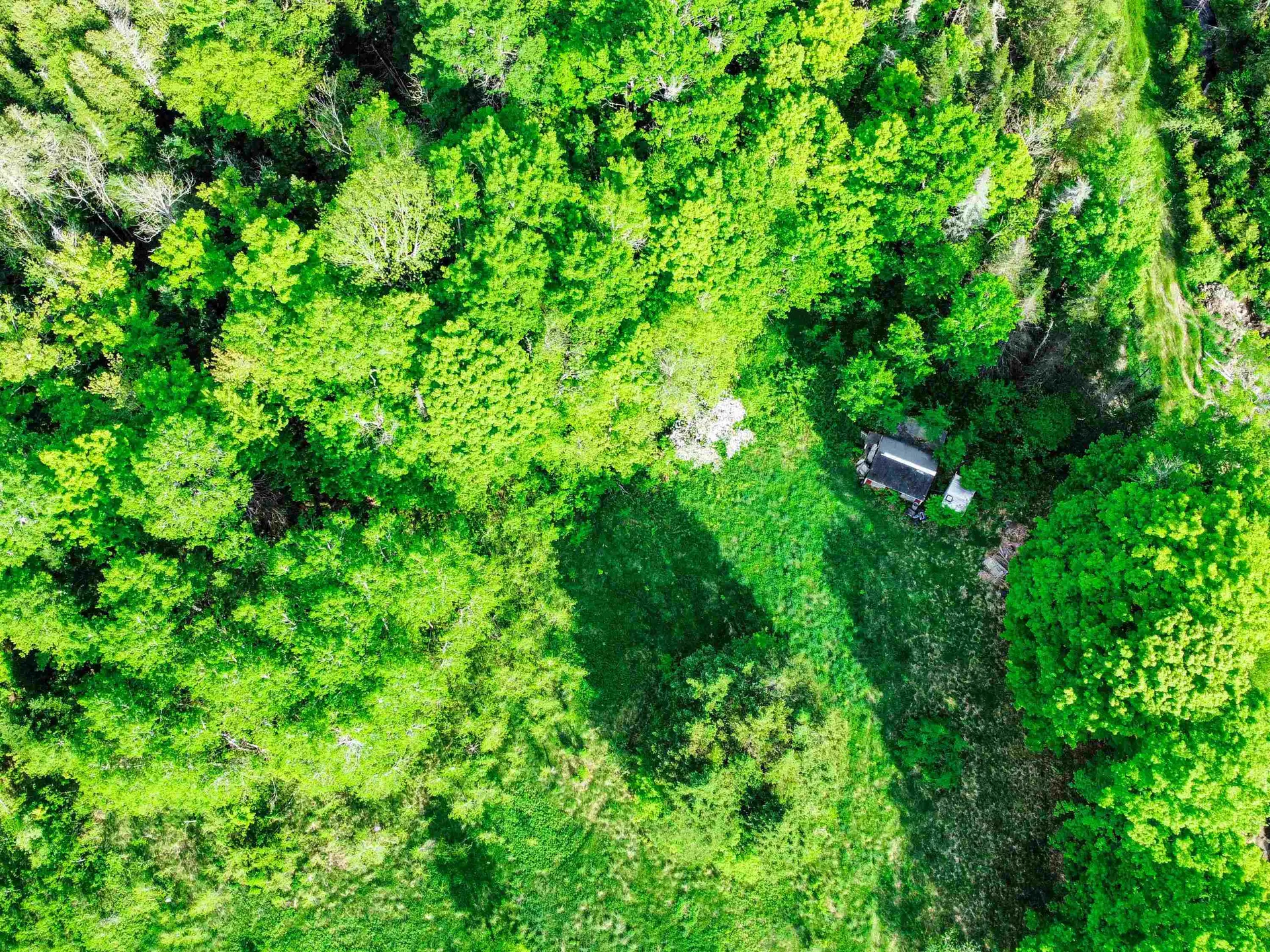 0 Tousant Hill Road Stannard VT 05842