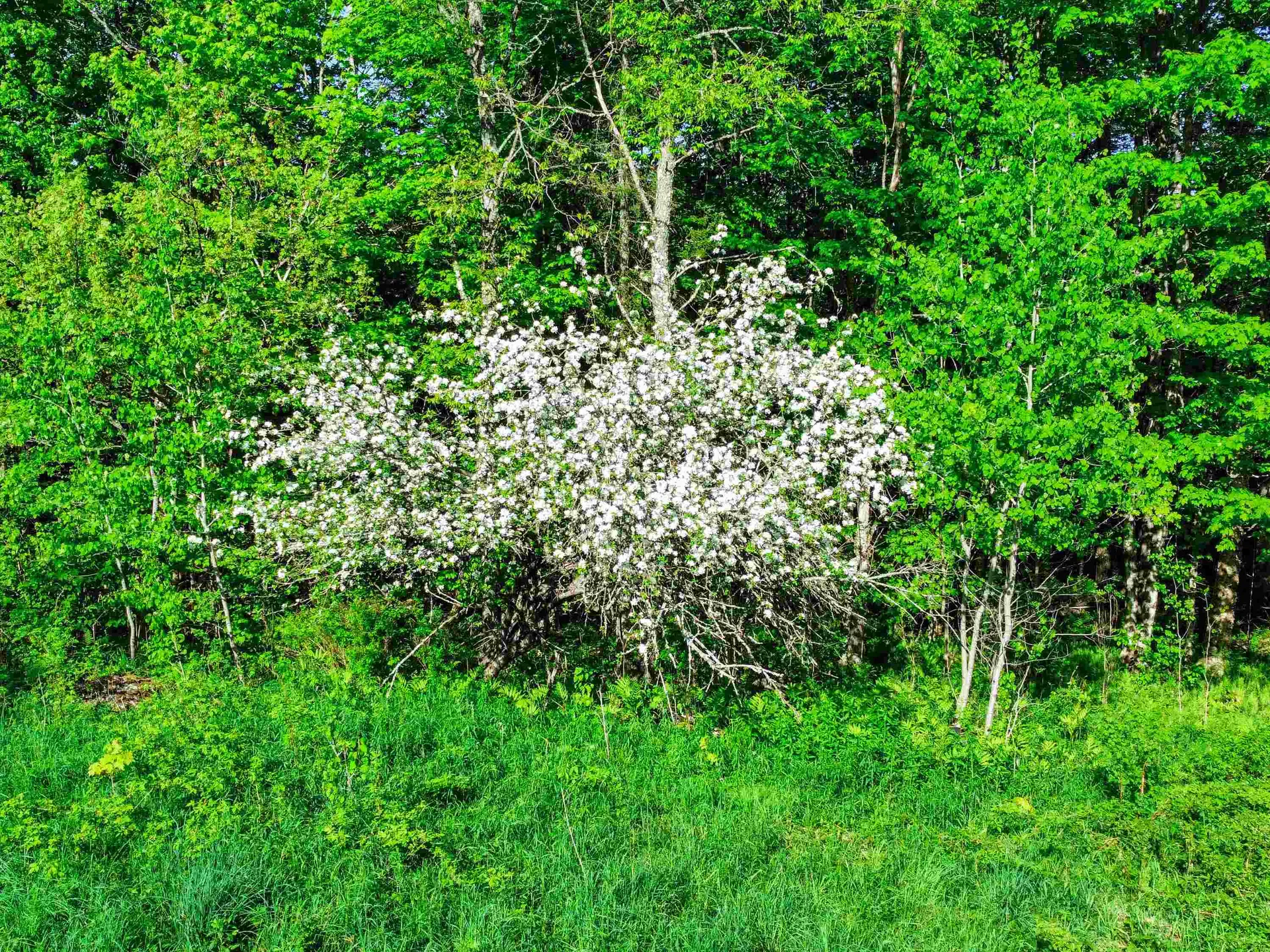 0 Tousant Hill Road Stannard VT 05842