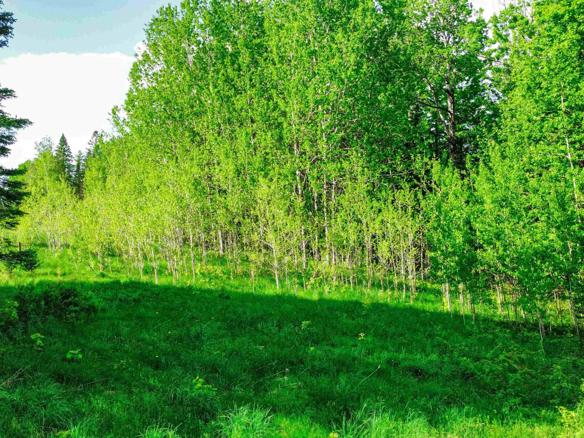 0 Tousant Hill Road Stannard VT 05842