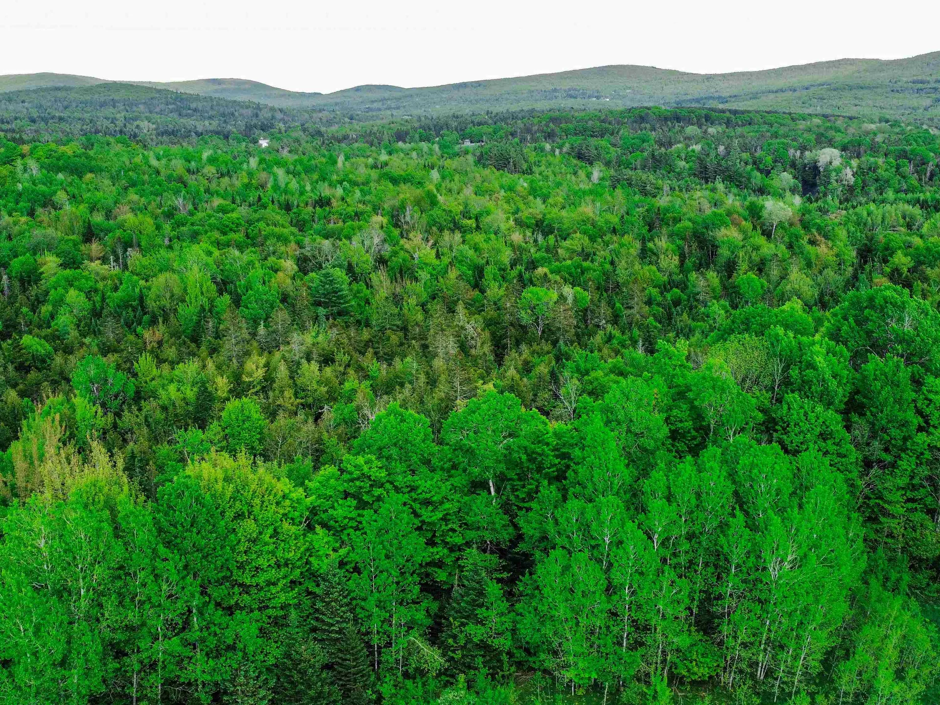 0 Tousant Hill Road Stannard VT 05842