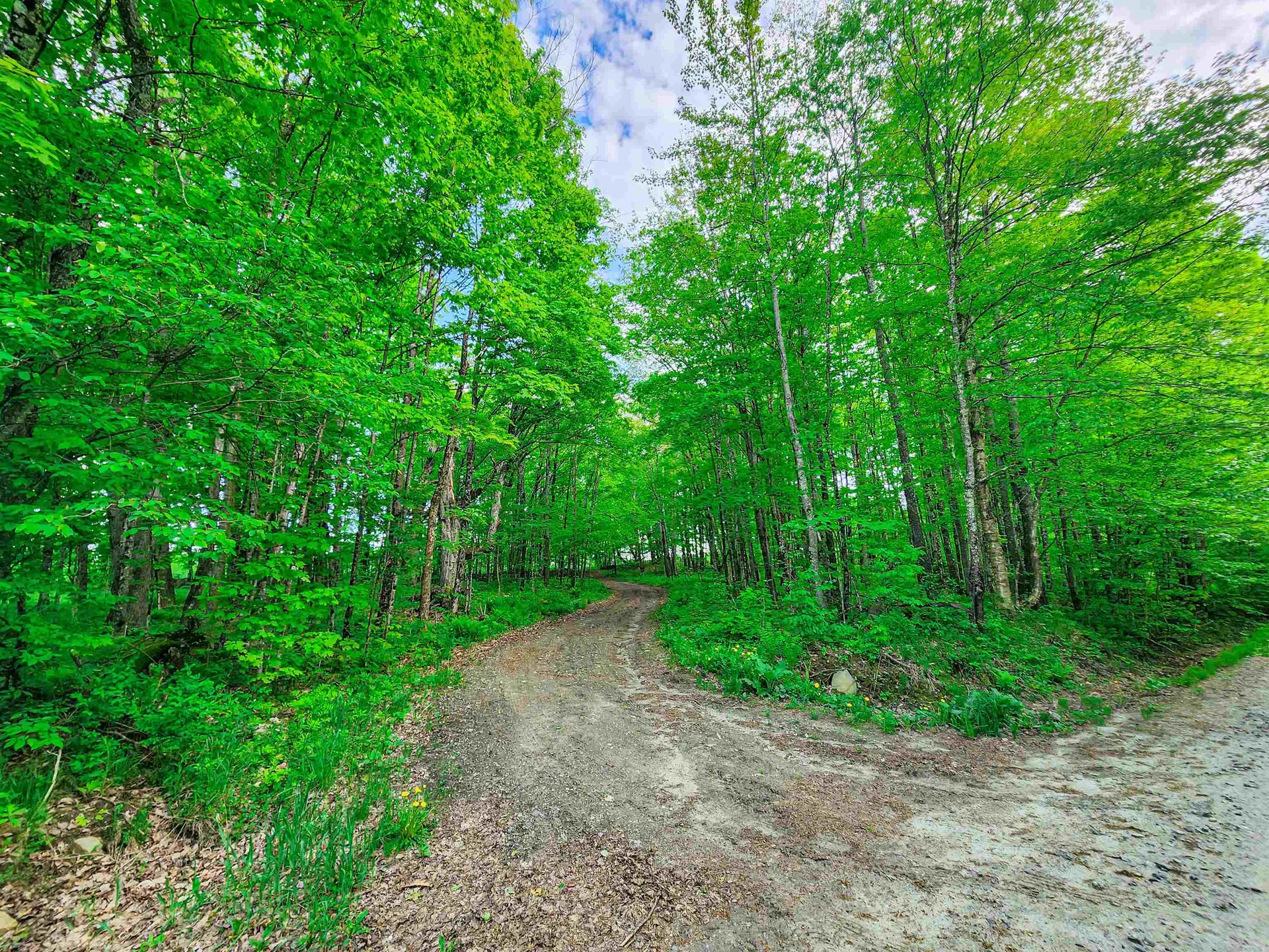 0 Tousant Hill Road Stannard VT 05842