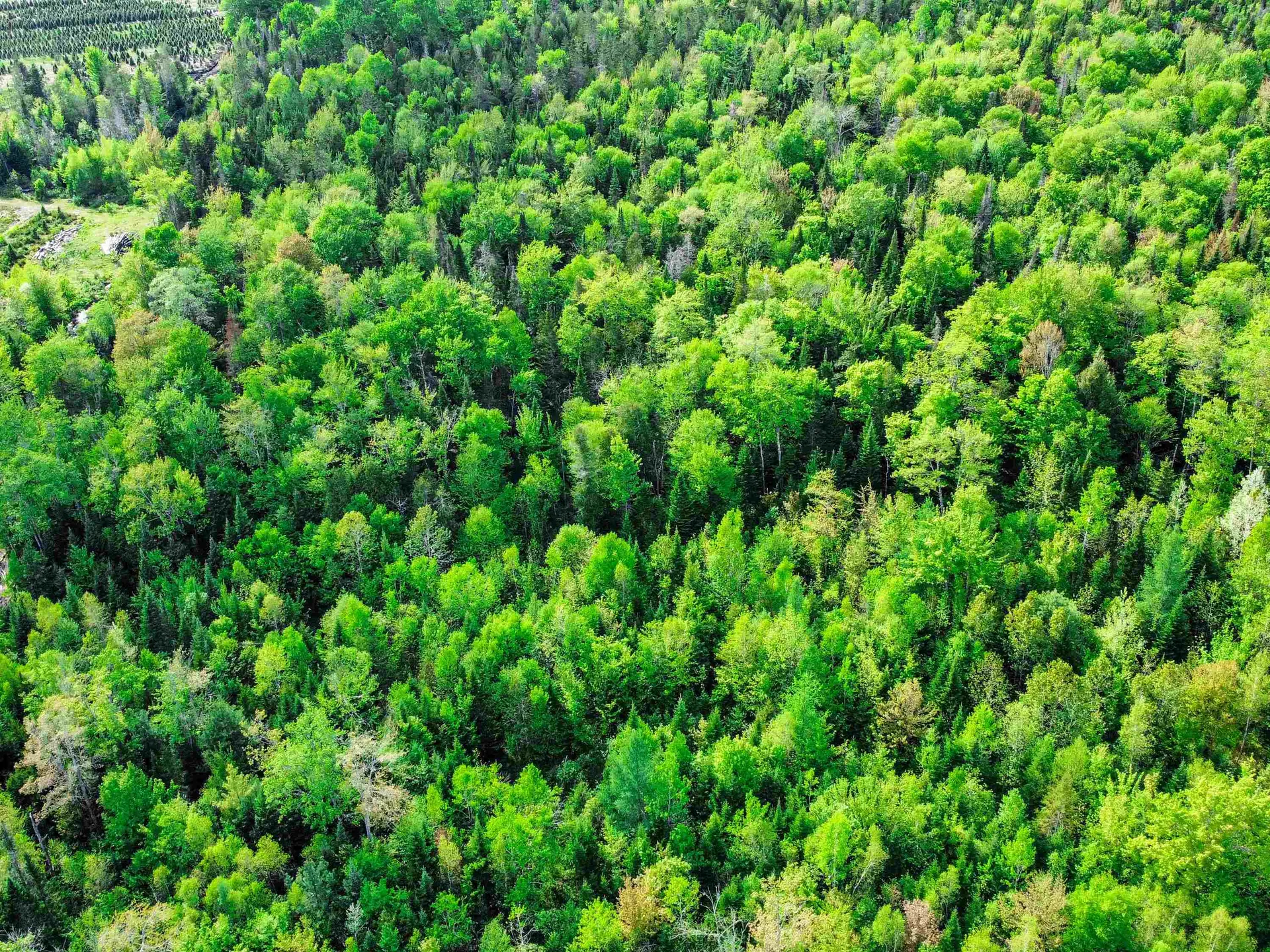 0 Tousant Hill Road Stannard VT 05842