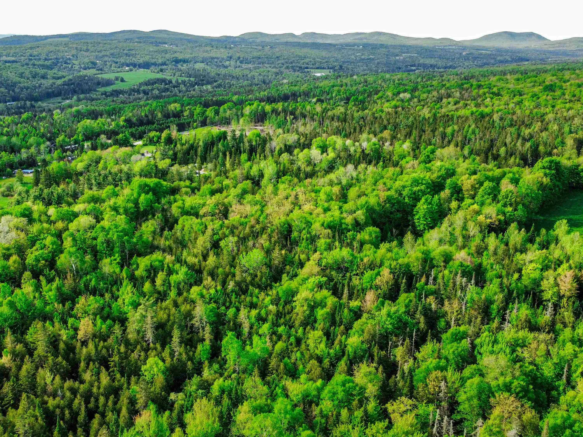 0 Tousant Hill Road Stannard VT 05842