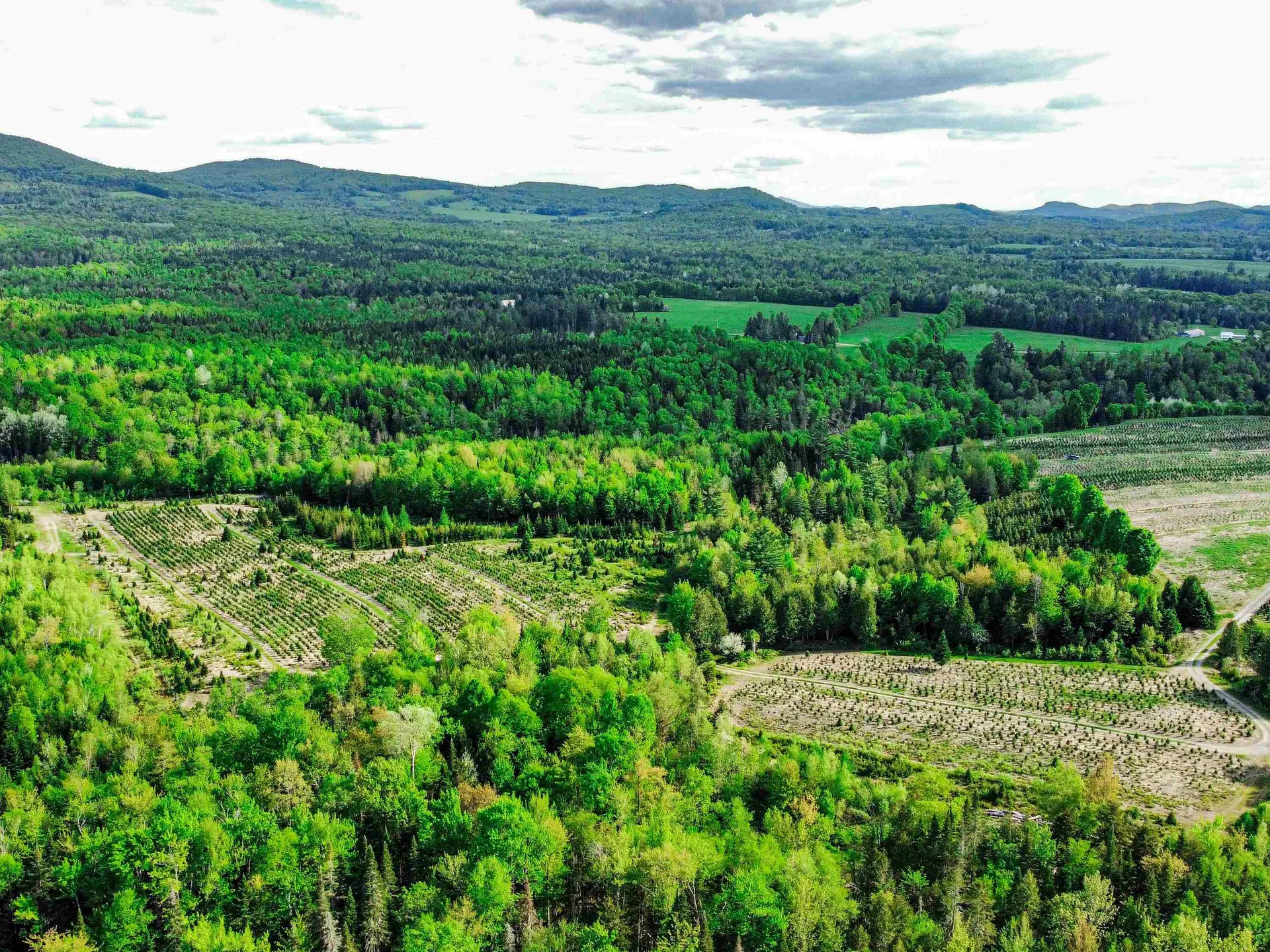 0 Tousant Hill Road Stannard VT 05842