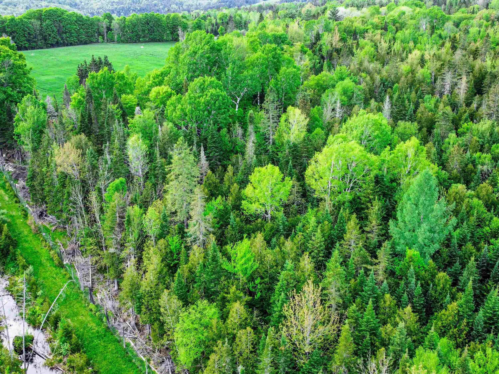 0 Tousant Hill Road Stannard VT 05842