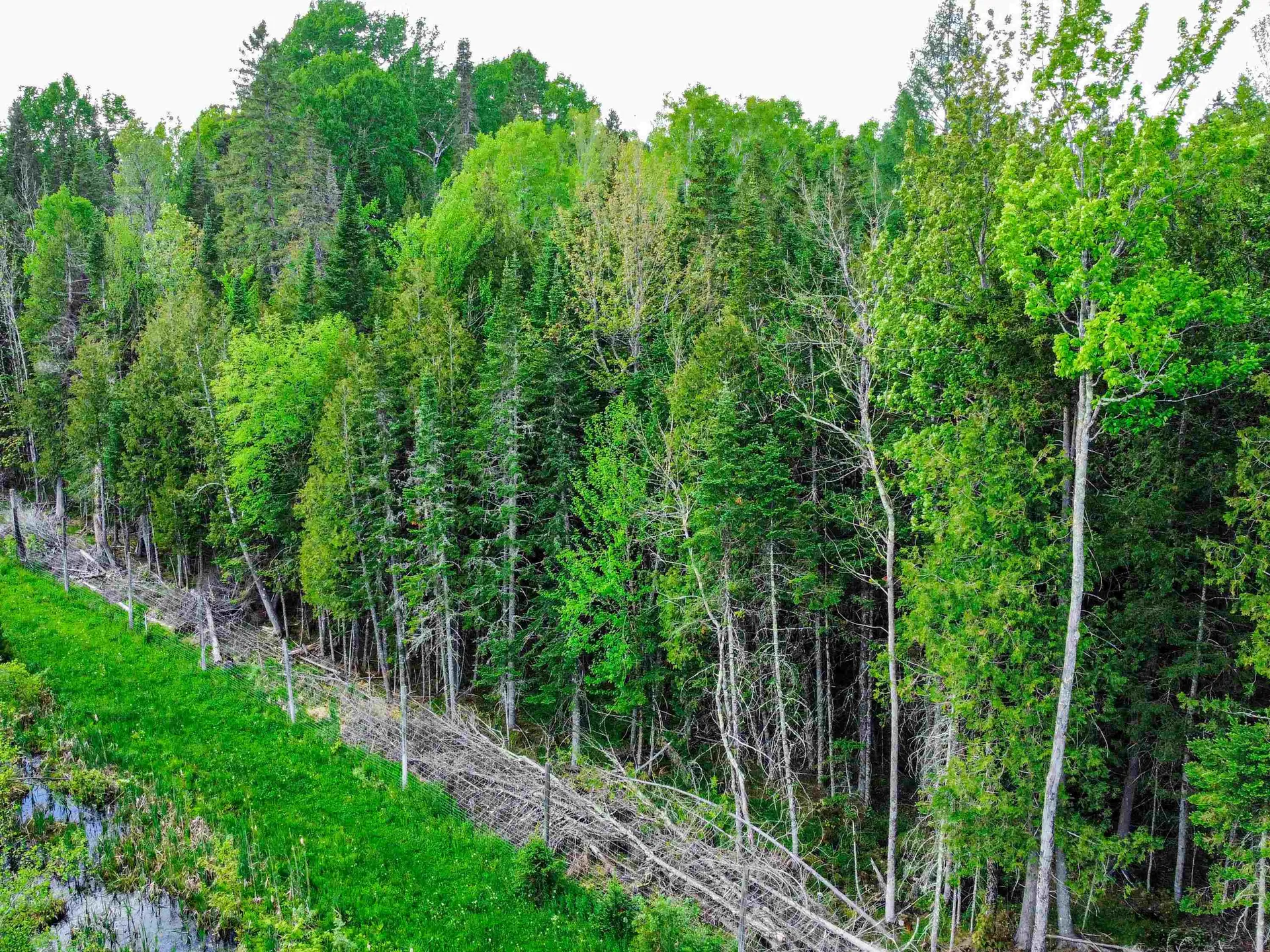 0 Tousant Hill Road Stannard VT 05842