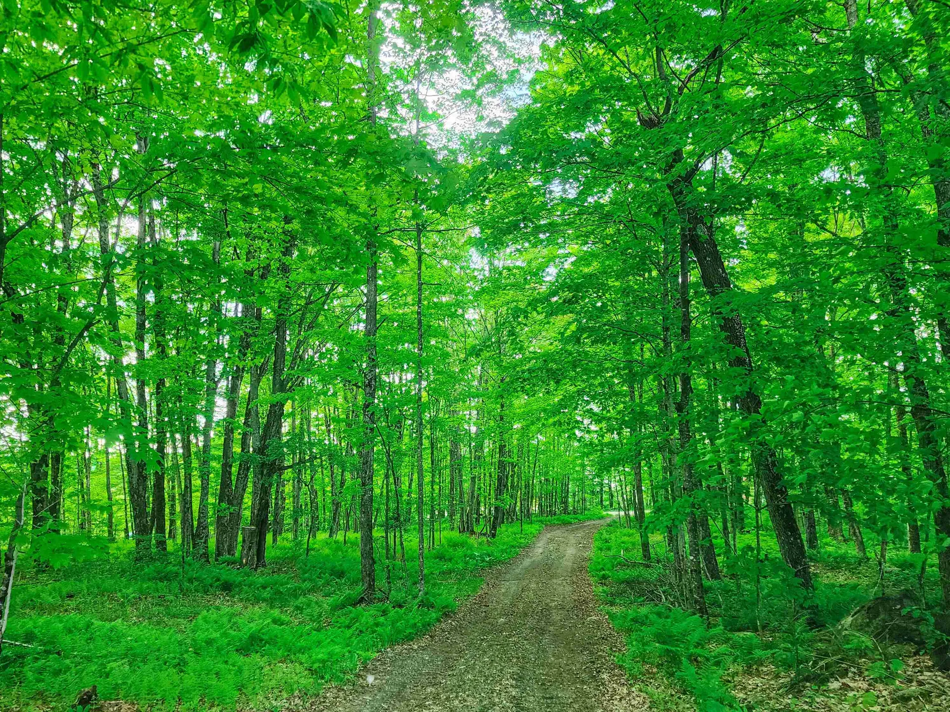 0 Tousant Hill Road Stannard VT 05842