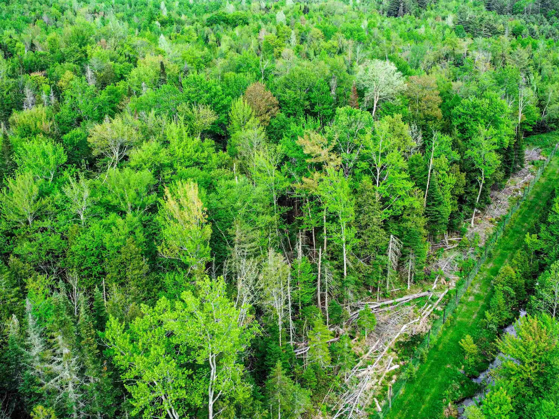 0 Tousant Hill Road Stannard VT 05842