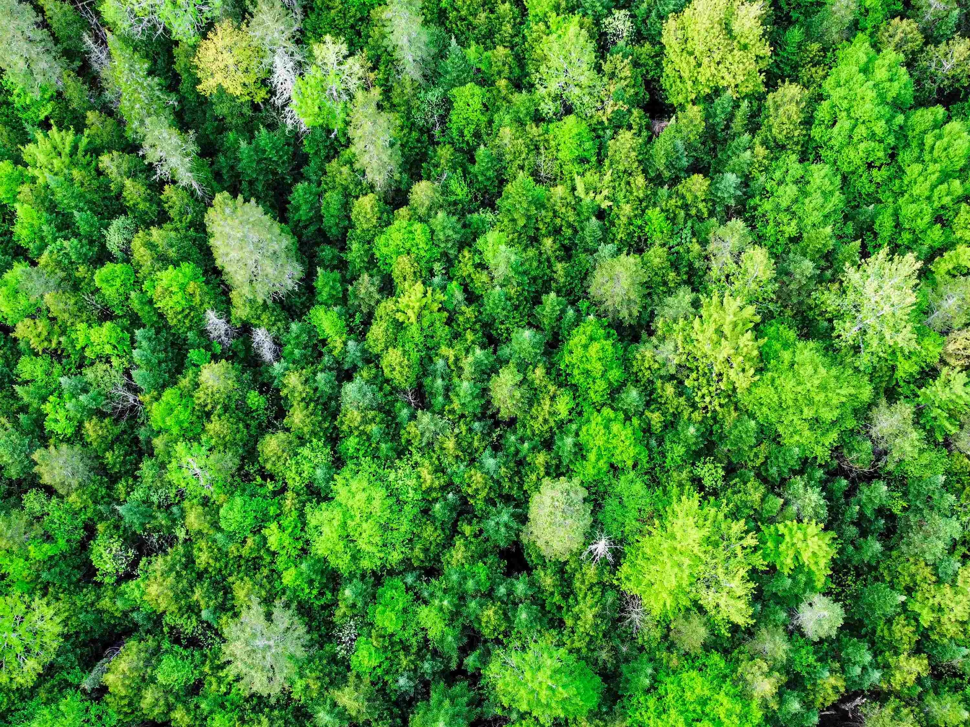 0 Tousant Hill Road Stannard VT 05842