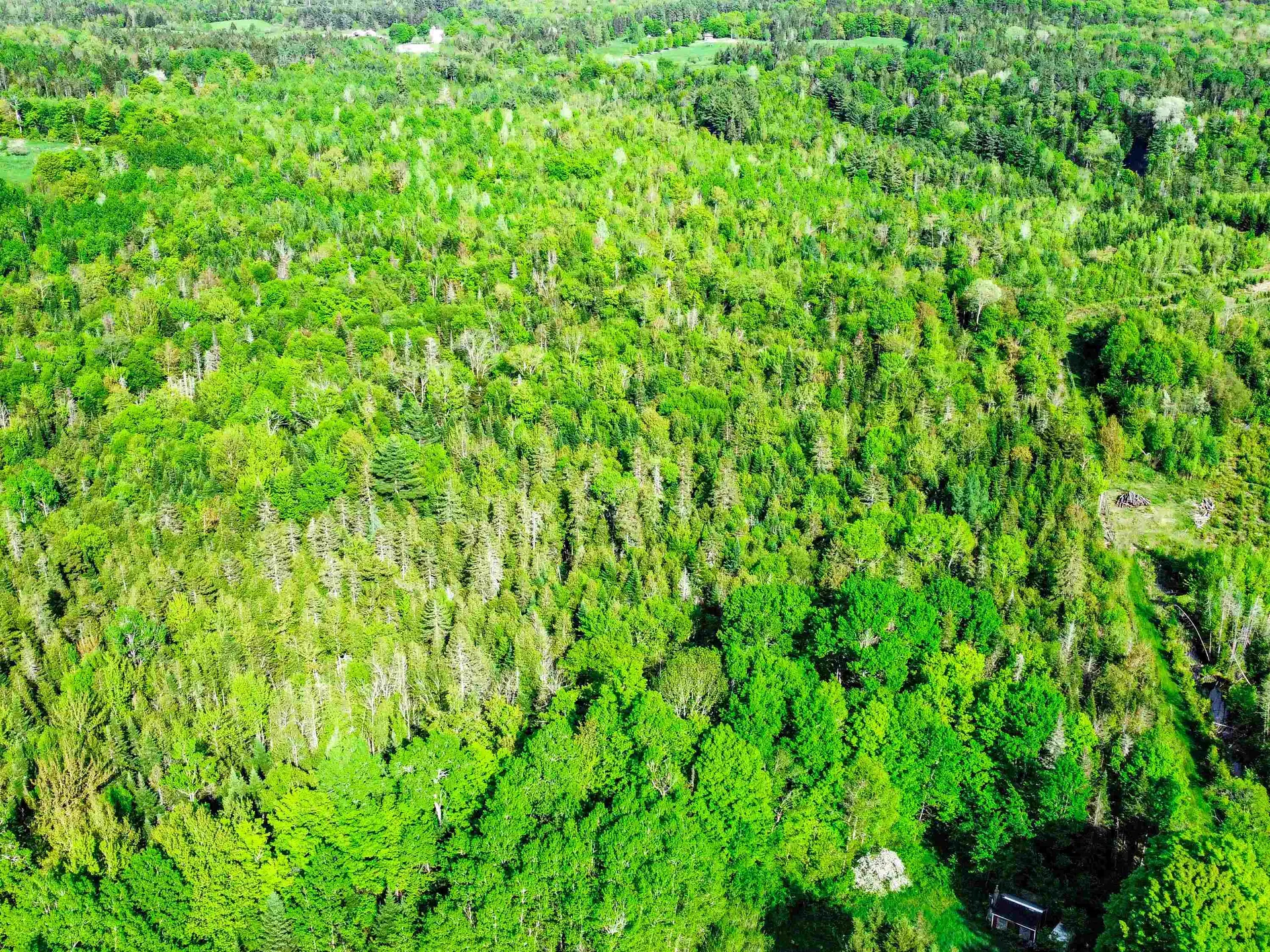 0 Tousant Hill Road Stannard VT 05842