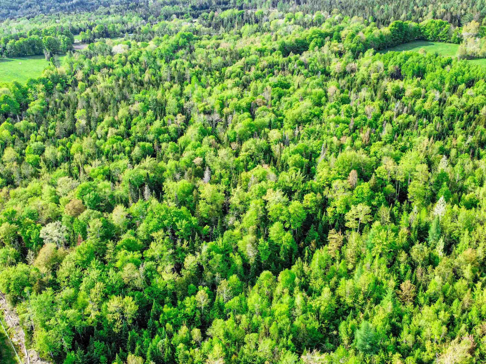 0 Tousant Hill Road Stannard VT 05842