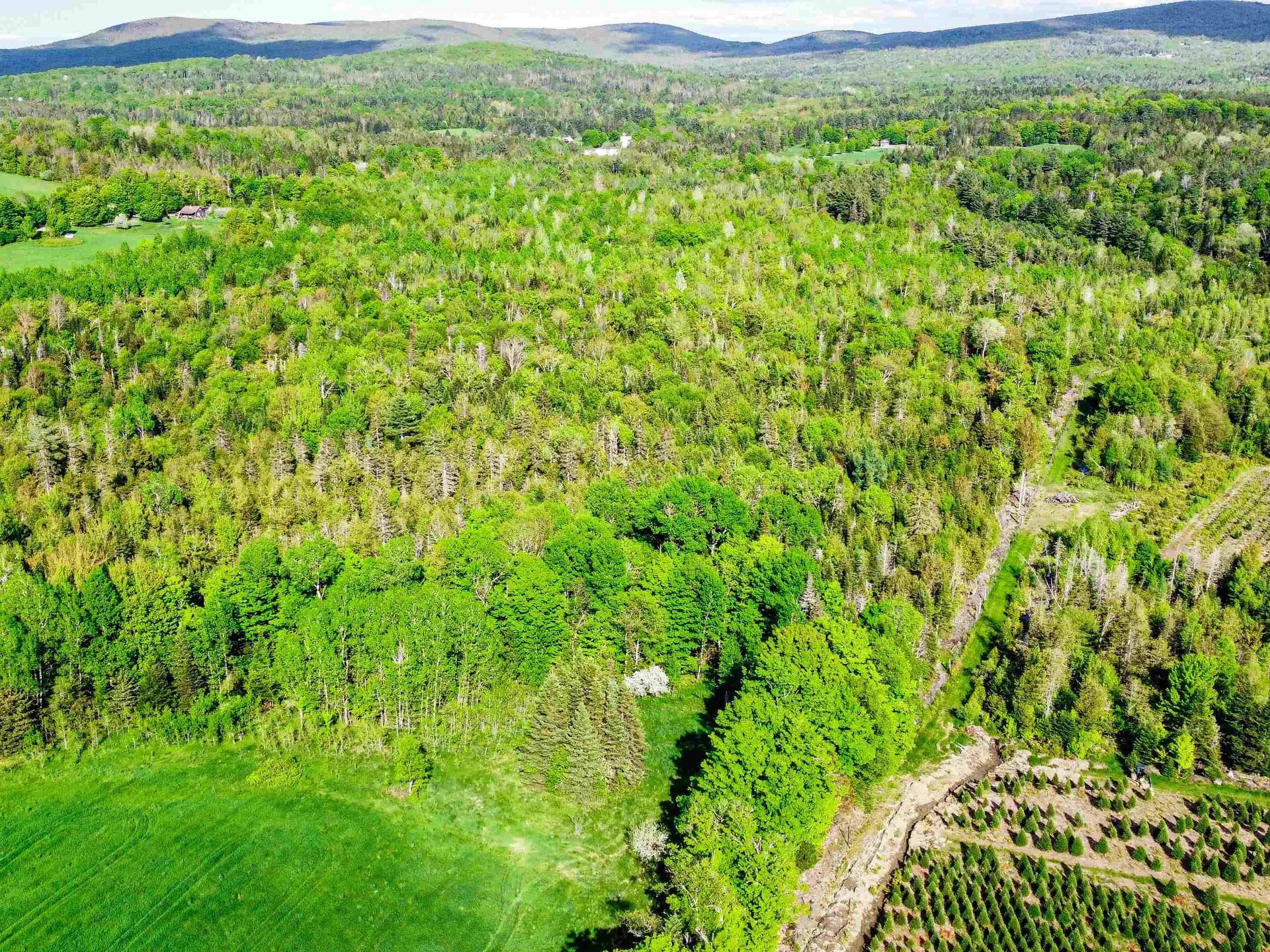 0 Tousant Hill Road Stannard VT 05842