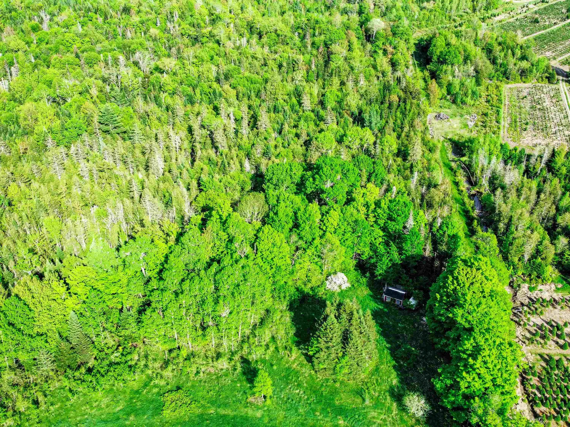 0 Tousant Hill Road Stannard VT 05842