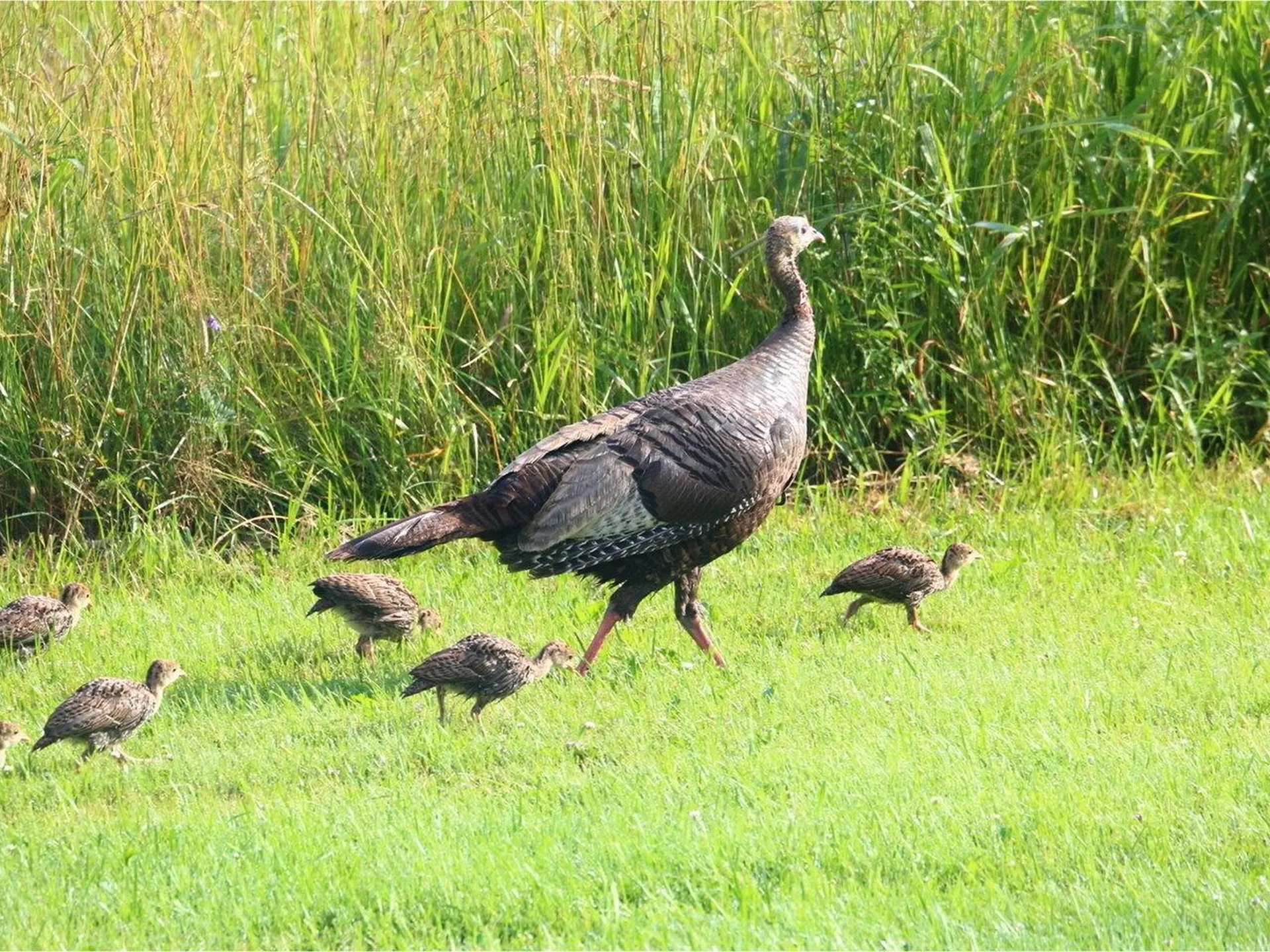 320 Woods Hollow Road Westford VT 05494