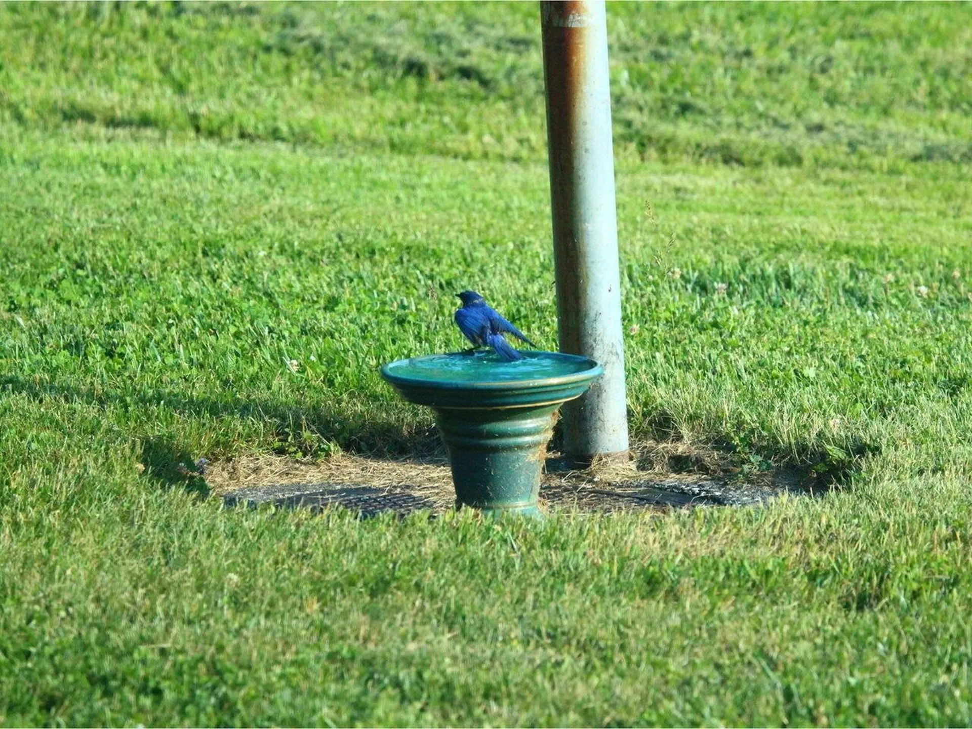 320 Woods Hollow Road Westford VT 05494