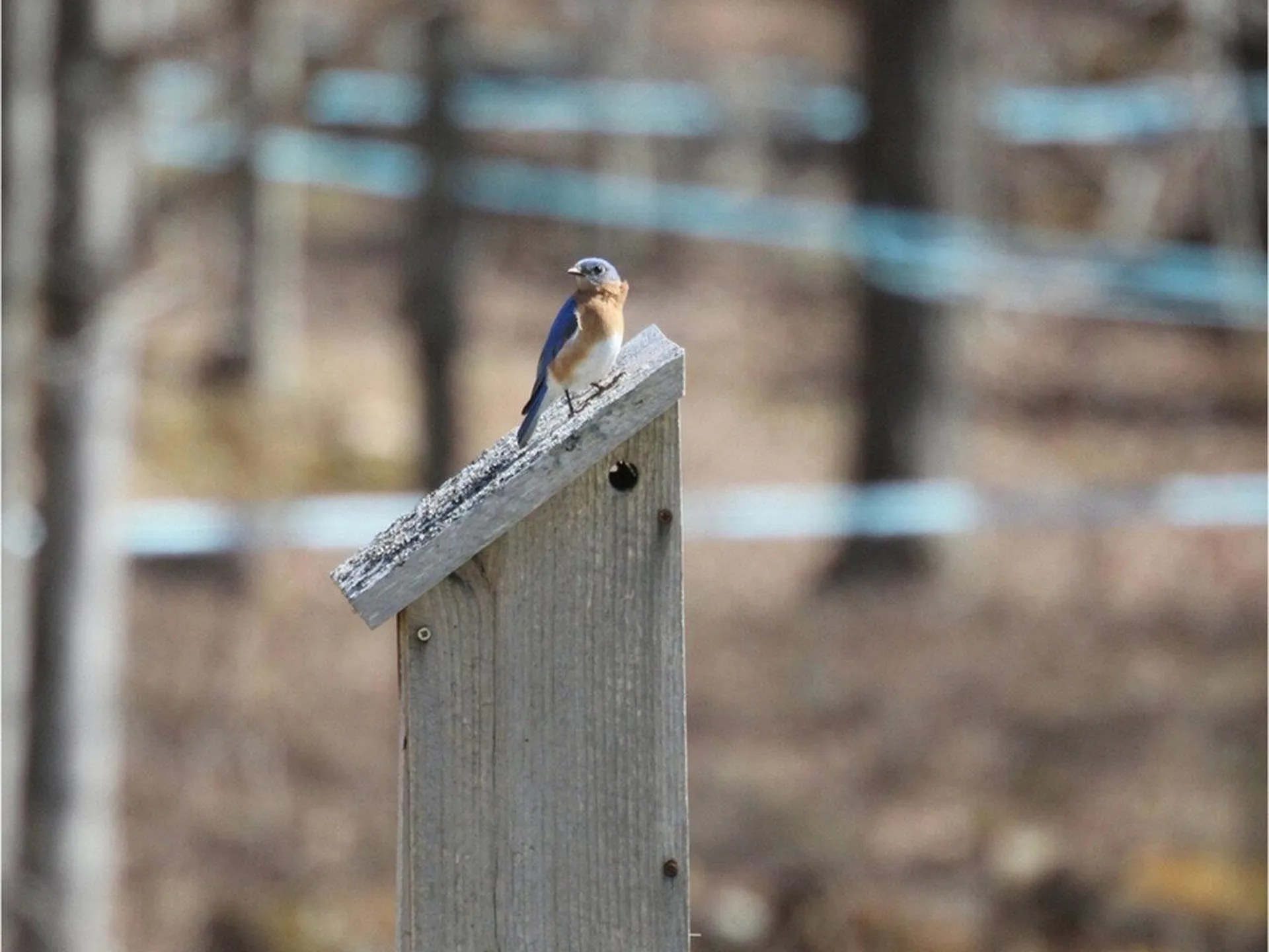 320 Woods Hollow Road Westford VT 05494