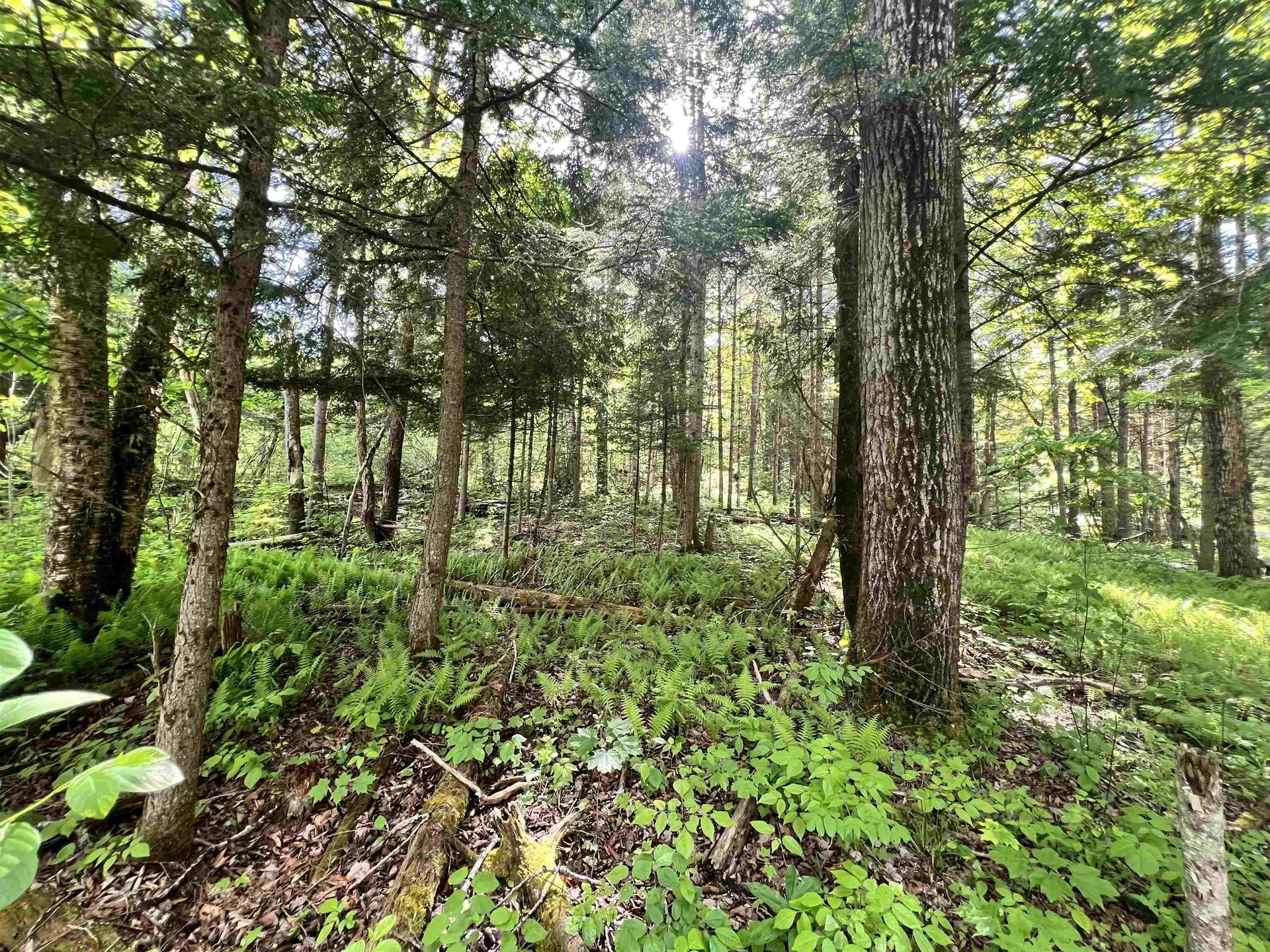 00 Hawkins Road Danville VT 05828