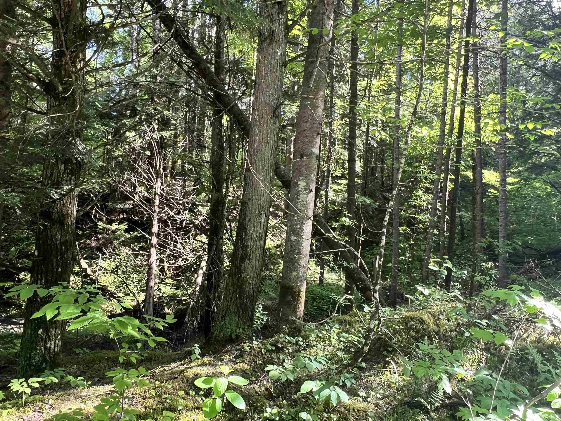 00 Hawkins Road Danville VT 05828