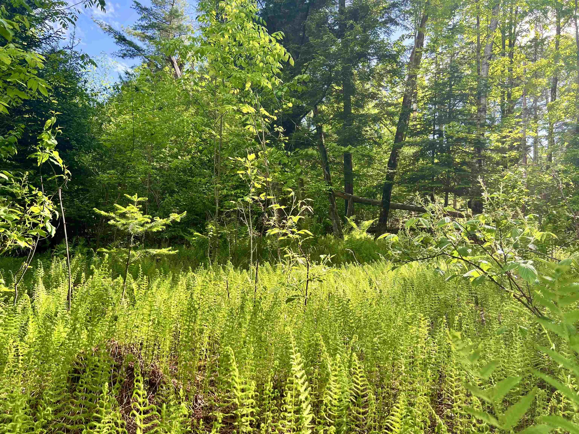 00 Hawkins Road Danville VT 05828